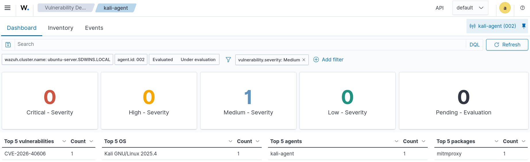 Detailed vulnerability information including CVE severity and affected package
