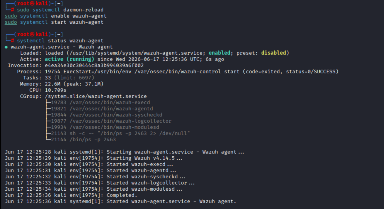 Systemctl output confirming Wazuh agent service is running on Kali Linux