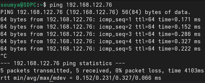 successful ping on kali before the attack