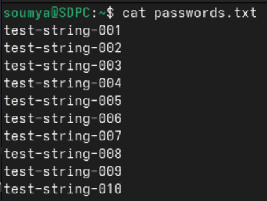 example of password.txt file